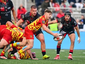 Top 14 – Les compositions de Perpignan – Toulon : Mayron Fahy sur le devant de la scène, Antoine Frisch cinq mois après