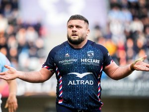 Top 14 - Portrait. "Je ne veux pas passer pour un pitre", Enzo Forletta, derrière l'image de bon vivant, un ciment de Montpellier