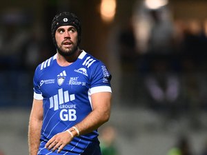 Pro D2 - En direct. Colomiers - Dax : la Colombe doit poursuivre son envol, suivez le match de la 25ème journée