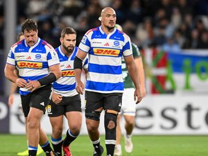 Transferts / Top 14 - Les Stormers annoncent le départ de Salmaan Moerat, le Springbok en route pour La Rochelle