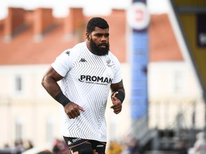 Direct. Pro D2 - Provence Rugby - Mont-de-Marsan : relancer la machine... Suivez la rencontre de la 26e journée