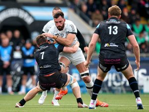 Top 14 - Pour Toulon, la Champions Cup comme tremplin pour une fin de saison renversante ?