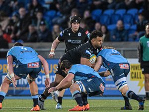 Exclu Midol. Transferts / Pro D2 – Biarritz cible deux internationaux pour renforcer son pack en vue de la saison prochaine