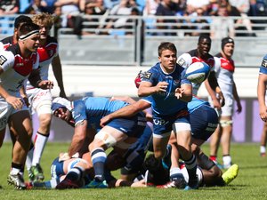Antoine Dupont, Thomas Castaignède, Ugo Mola, Joe Tekori... Ces transferts qui prouvent les connexions illimitées entre Toulouse et Castres