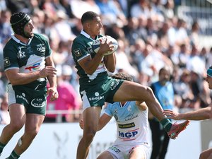 Top 14 - La Section paloise écrase Bayonne à Jean-Dauger lors de la 21e journée et sécurise (un peu) sa deuxième place
