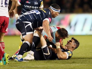 Dossier. "Insupportables tchatcheurs", les demis de mêlées ces rois du chambrage