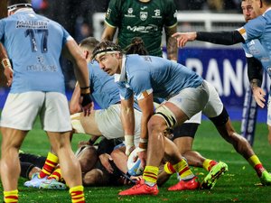 Top 14 - Le retour du guide Jamie Ritchie, capitaine indispensable pour Perpignan