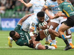 Top 14. Face à la densité physique du Racing, une implacable logique pour Montauban