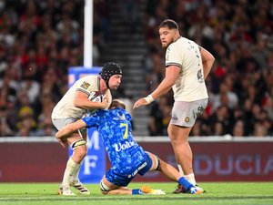 Top 14 - Toulouse : des tueurs à gage en mission reconquête