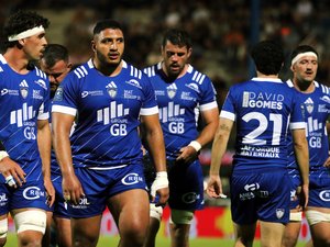 Direct. Pro D2 – Colomiers – Mont-de-Marsan : la Colombe veut reprendre sa deuxième place, suivez la rencontre de la 29e journée