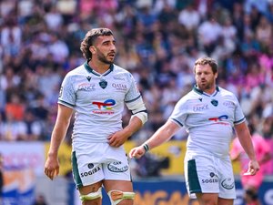 Top 14 - À Pau, il vit "les meilleurs moments de sa carrière" : à la découverte de Sacha Zegueur, l'homme de l'ombre par excellence