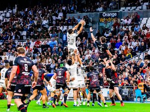 Direct. Top 14 - Toulon - Toulouse : choc au Vélodrome... Suivez le match de la 23e journée