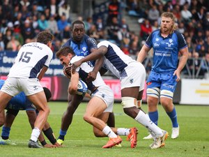 Top 14 - Montpellier s'impose à Castres et fait un pas de plus vers les demi-finales