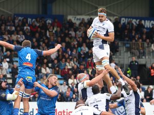 Top 14 - Les notes de Castres - Montpellier : Tyler Duguid et Florian Verhaeghe en géants, Florent Vanverberghe perforant, Théo Chabouni en difficulté