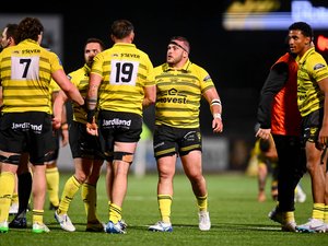 Pro D2 - "Nous avons un club à sauver" : quinze jours sous tension à Mont-de-Marsan avant l'access-match face au finaliste de Nationale