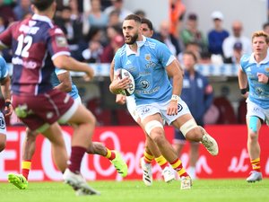 Top 14 – Entre hommages à célébrer et performances à fournir, comment l’Usap va s’y prendre pour vaincre Castres ?