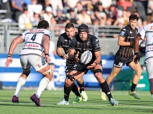 Pro D2 - "Continuer à maintenir ce même niveau de jeu" : à Colomiers, Provence Rugby veut forcer son destin