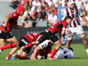 Top 14. "Il nous tarde la fin" : à Toulon, un sourire de façade après la victoire sur l'UBB