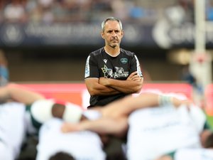 Top 14 - Phase finale : pour Sébastien Piqueronies, le manager de Pau, c'est aussi l’occasion de marquer des points pour les Bleus