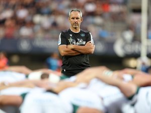 Top 14 - "Jusqu’à maintenant, on est plutôt performants quand on a du culot, quand on a de l’audace", analyse Sébastien Piqueronies (Pau) avant le barrage face au Racing 92