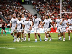 Finale du Top 14 - Du Stade des Alpes au Stade de France, récit du redressement spectaculaire de Montpellier
