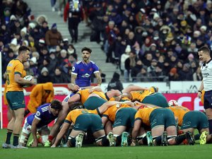 XV de France / Championnat des Nations - Une victoire sinon rien ! Pourquoi les Bleus doivent absolument battre l'Australie