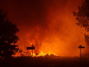 Incendies en Gironde - "Le feu de la vie" : l'édito du vendredi sur le monde du rugby qui se mobilise pour lutter contre les flammes