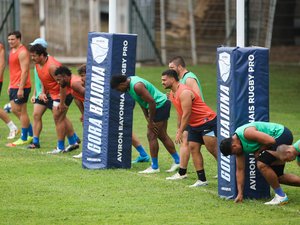 Top 14 - "Je veux que l’on retrouve une harmonie totale" : à Bayonne, le calme après la tempête ?