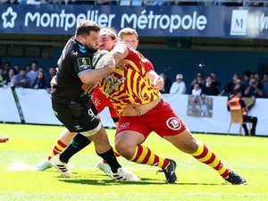 Top 14 - Perpignan : composition probable, forces, faiblesses... La revue complète de l'effectif catalan ligne par ligne