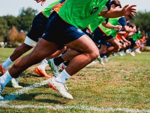 Top 14 - "Autre philosophie, autre façon de travailler" : Castres veut apprendre de ses erreurs