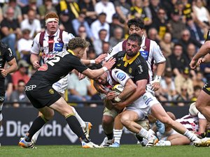 Top 14 / Pro D2 - Un choc entre des champions d'Europe, Béziers dans le grand bain... Découvrez la liste des matchs amicaux du week-end