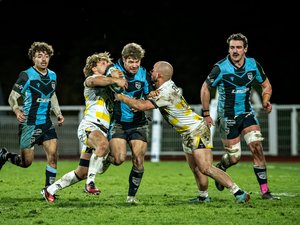 Nationale - Carcassonne favori, Orléans pour l'histoire... Le grand sondage des entraîneurs