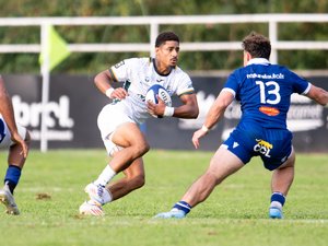 Pro D2. Montauban - Composition probable, hiérarchie poste par poste... La revue de l'effectif ligne par ligne