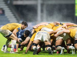 Pro D2 - Les pronos de la première journée : Montauban retrouve le goût de la victoire, Aix confirme son statut