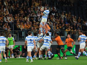 International - Joseph-Aukuso Sua'ali'i sur le banc, Isaac Kailea de retour, Pablo Matera capitaine : les compositions d'Argentine - Australie