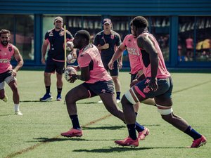 Top 14 - "La cadence dans ce championnat est démentielle", à Paris, le renouveau appelle une suite