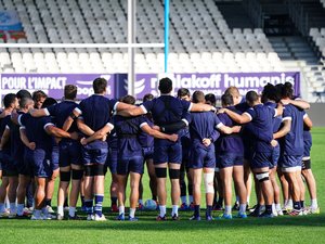 Opinion. "Petits mensonges ordinaires" : la monotonie de l'été a enfin laissé place au rugby