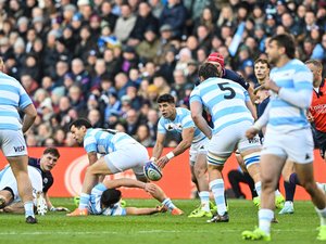Direct. International - Argentine - Australie : les Pumas veulent enfin gagner ! Suivez la rencontre