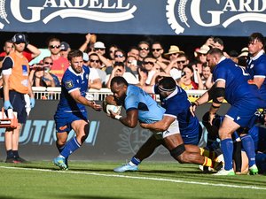 Top 14 - "On reste une équipe capable de jouer partout" : entre persuasion et convoitise, Perpignan veut grandir avant Montpellier