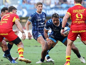 Top 14 - "Le match face à Toulouse ? J'y pense forcément" : libéré, Dimitri Delibes revient sur le succès de Montpellier et se projette sur la suite