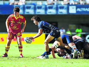 Top 14 - "Des entrées de grande qualité" : Montpellier mise sur la polyvalence d'Alexis Bernadet