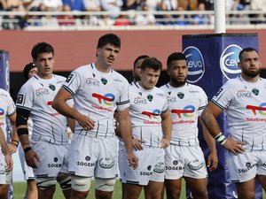 Top 14 - Meilleur voleur de touches, capitanat... Hugo Auradou, l'indispensable tour de contrôle des avions de chasse de Pau