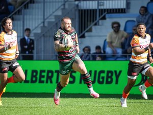 Challenge Cup - Malgré deux visages, Bayonne réussit son entrée en lice dans la compétition en dominant les Cheetahs
