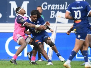 Top 14 - Les notes de Castres-Stade français : Ramotototabua en feu, Carbonel en difficulté